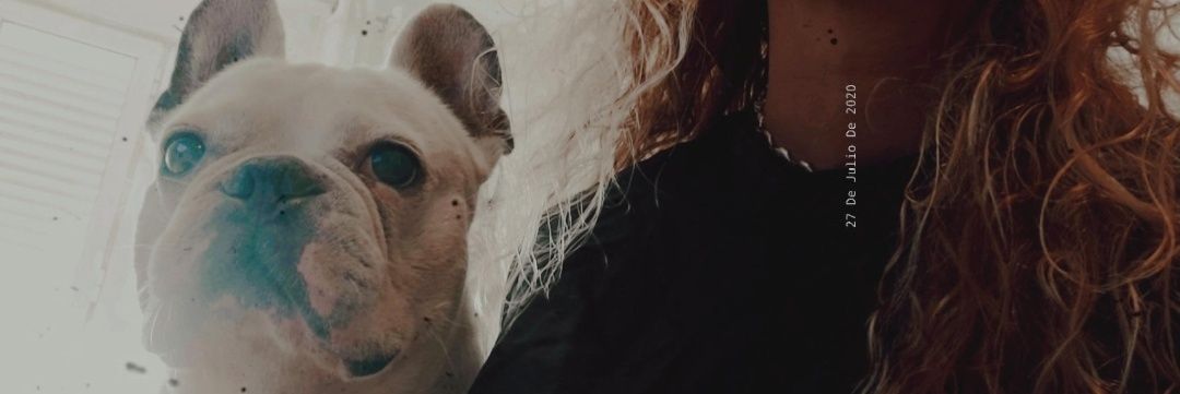 Mtsenf's profile banner image