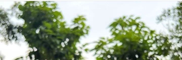SuciFatika's profile banner image