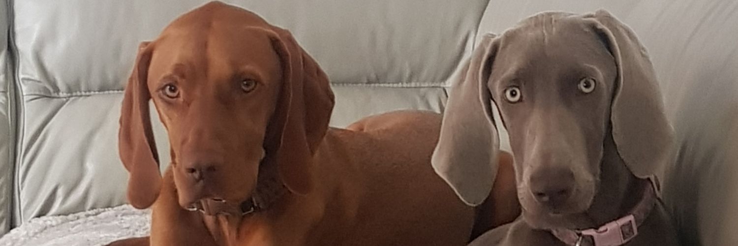 gemma_smiffy's profile banner image