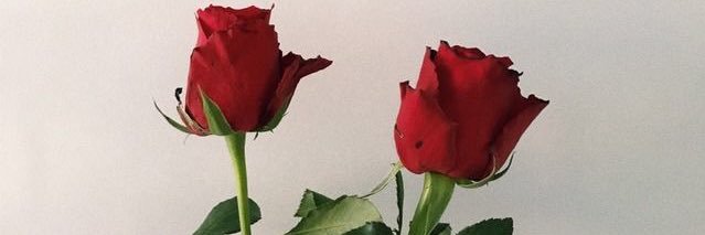 nourchatila's profile banner image