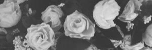 fani_feb's profile banner image