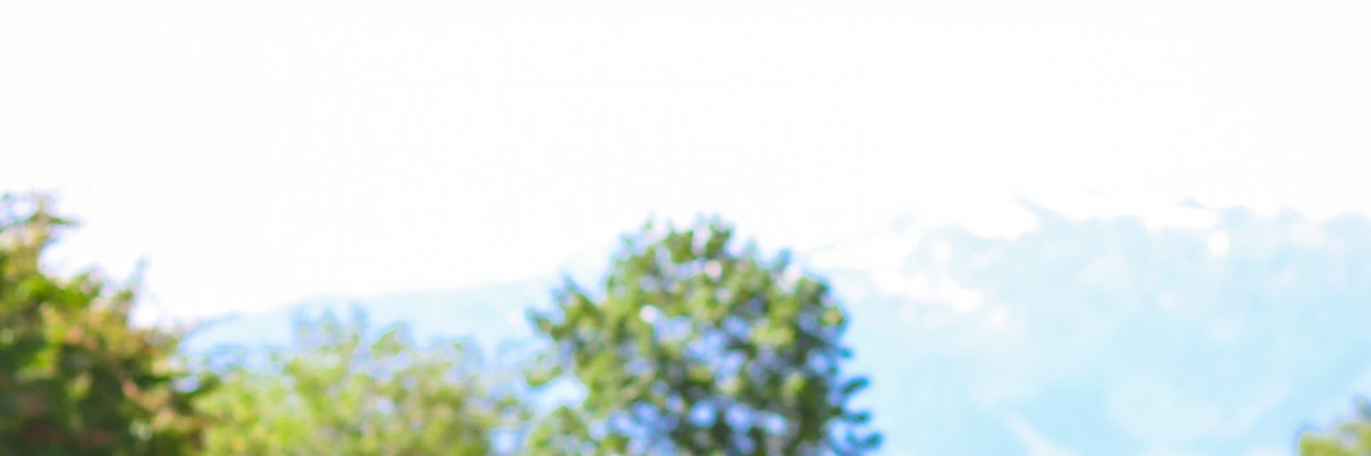 FairyMuw's profile banner image