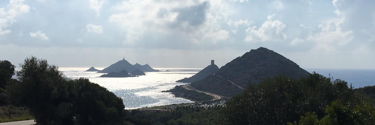 François Sorel banner