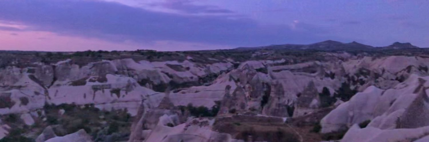 bugseuresin's profile banner image