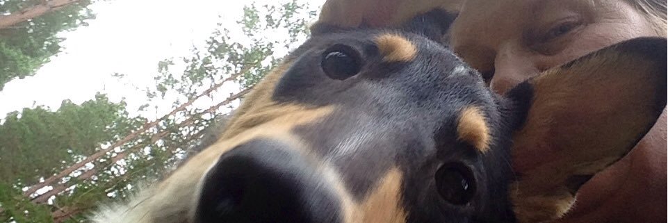 ukdanielsson's profile banner image