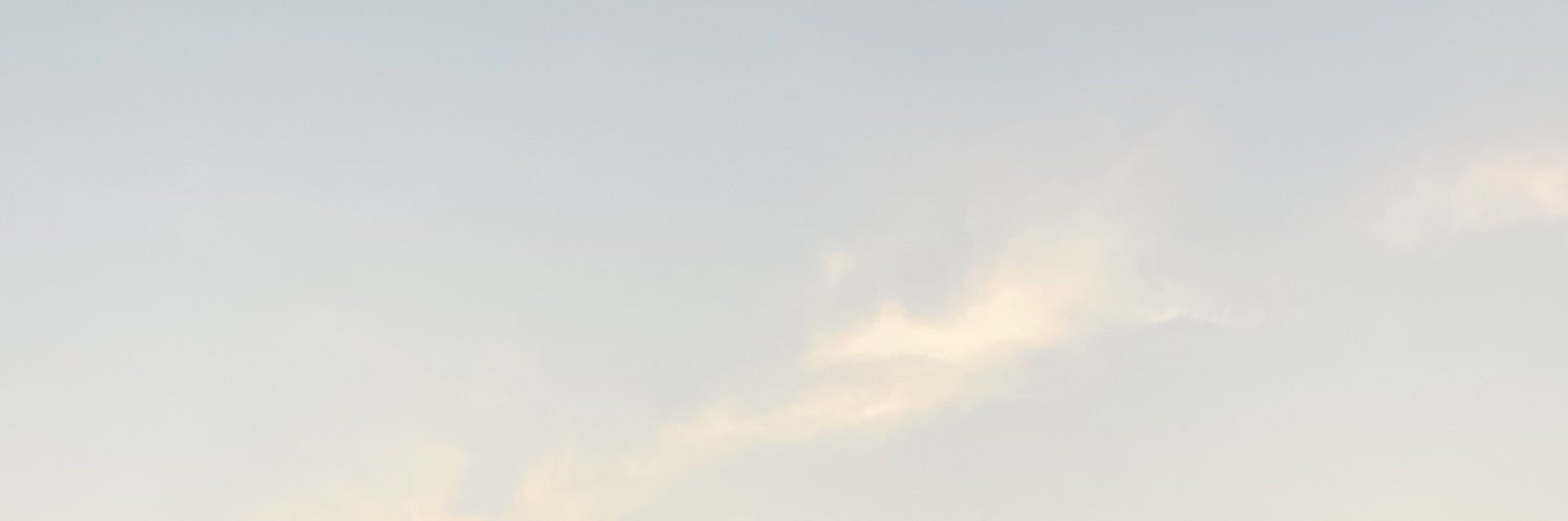 intanwidya_n's profile banner image
