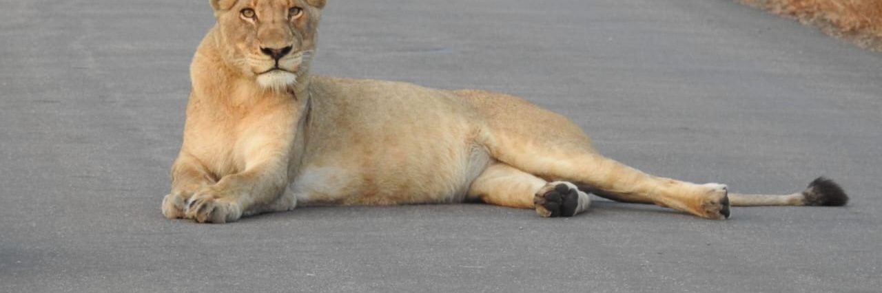 Blessed Mavhungu banner