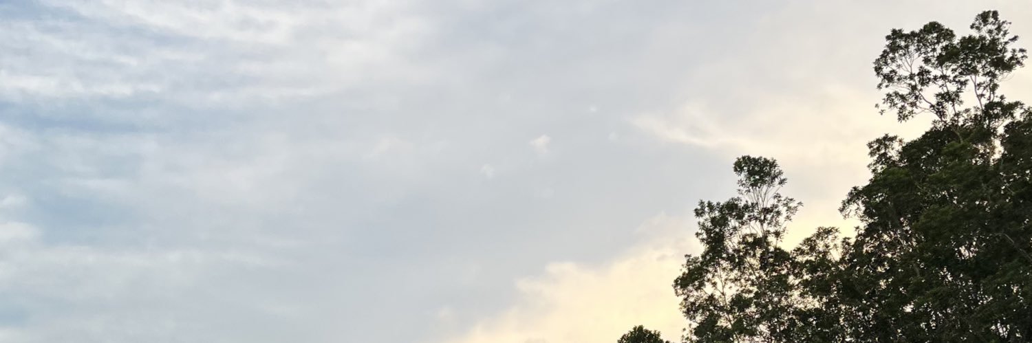 sofiacerlie's profile banner image