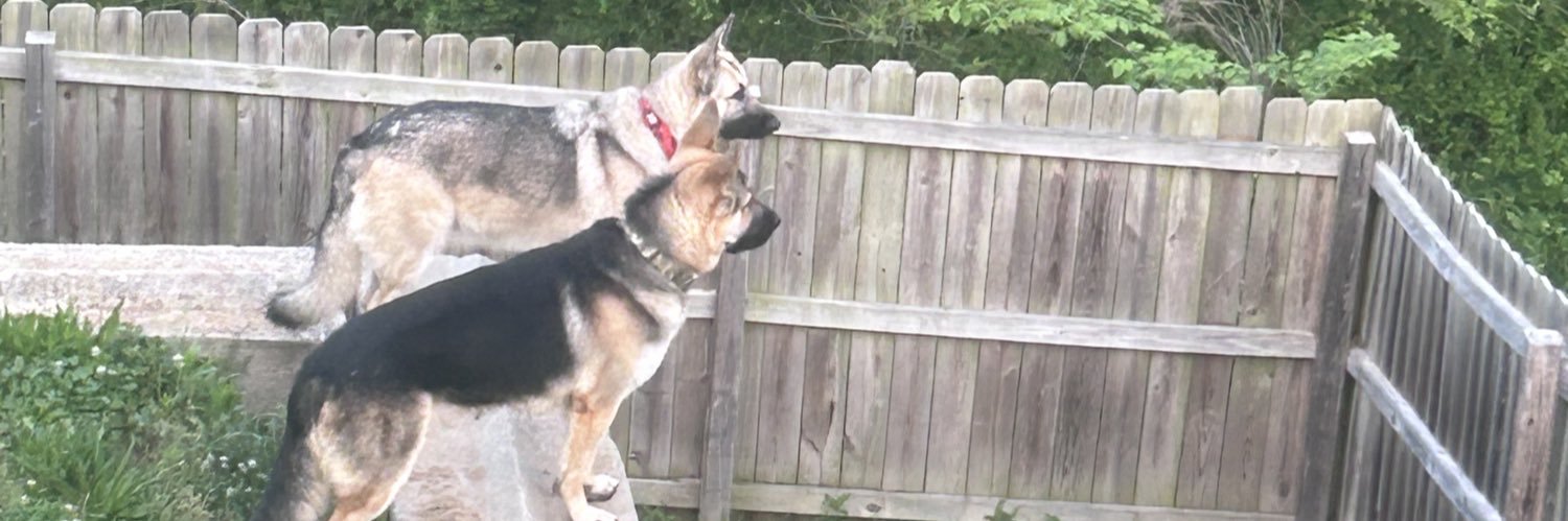 kimmysmitty's profile banner image