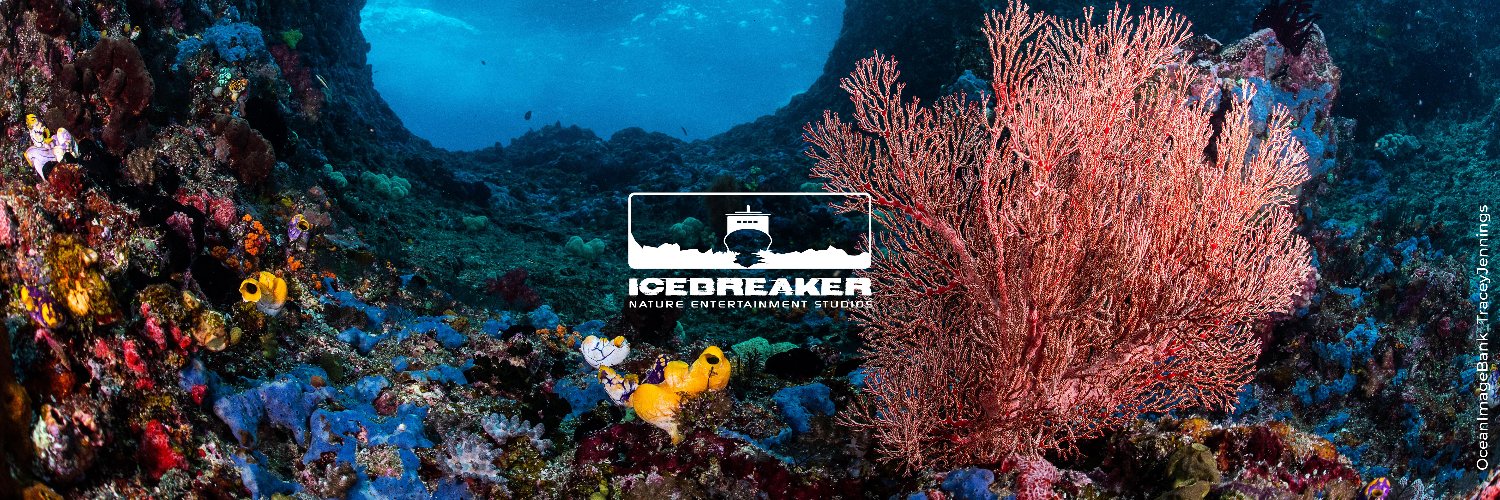 Icebreaker Studios banner