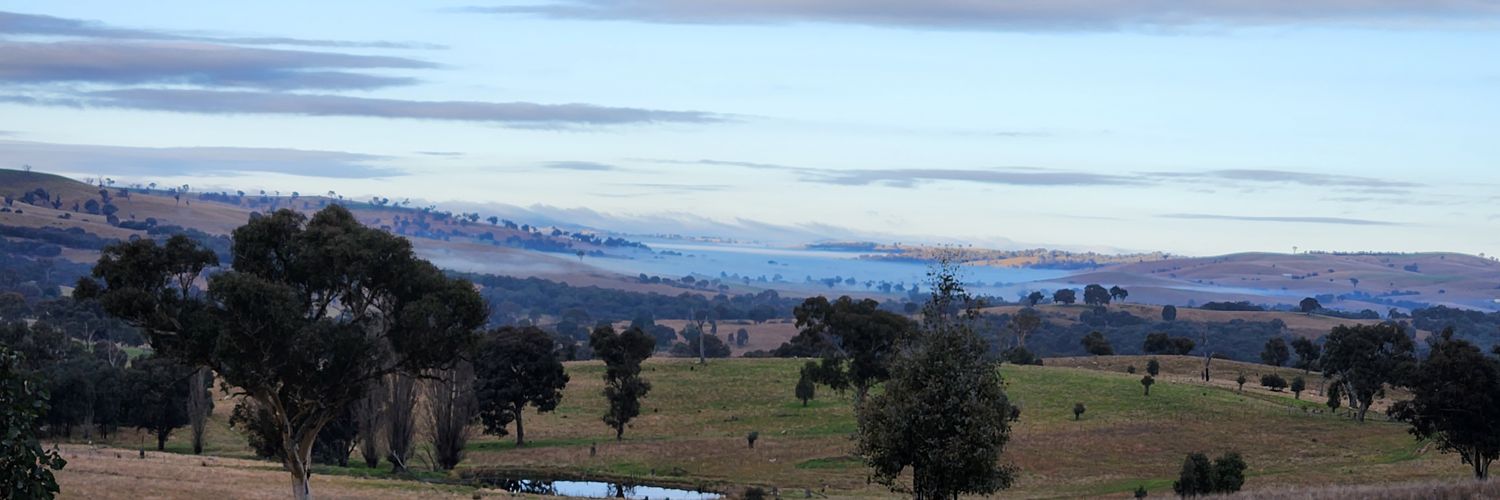 biodynamiclamb's profile banner image