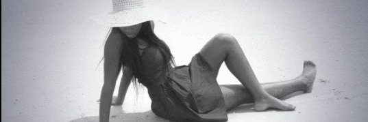 shaywhipple1's profile banner image