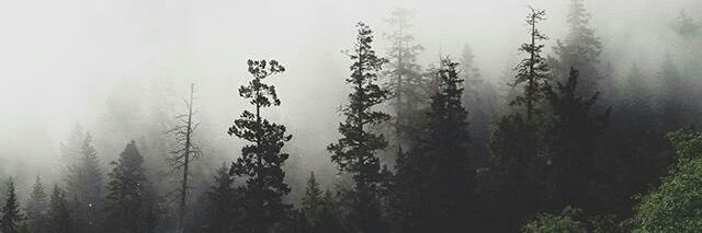 aimanakmal86's profile banner image