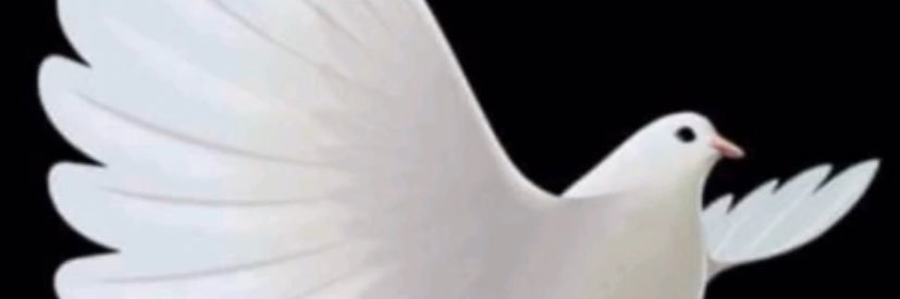 erictylers's profile banner image