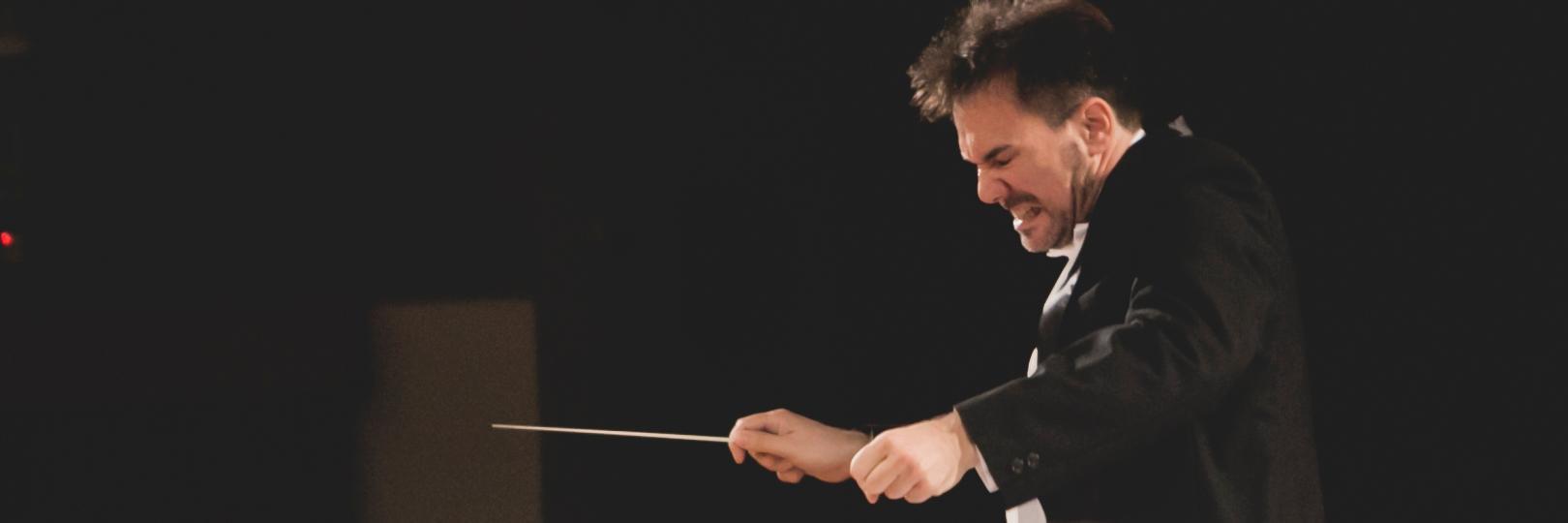 serranoalarcon's profile banner image