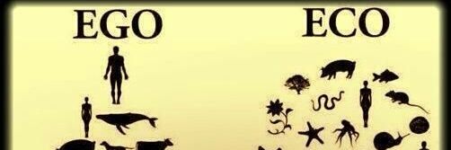 MarcelaMnera's profile banner image