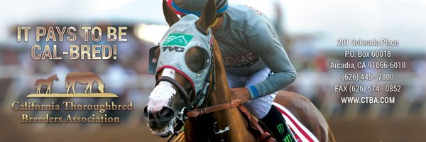 CTBACalbred Profile Banner