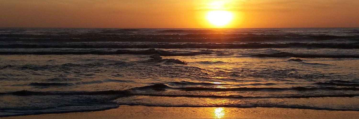 _sarragabi's profile banner image
