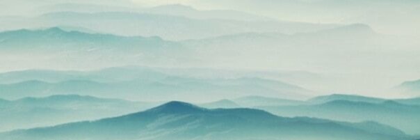 Dicky S banner