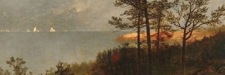 paulamarshall48's profile banner image