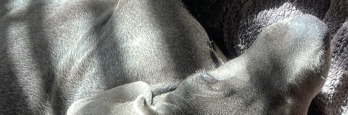 Warren21_'s profile banner image