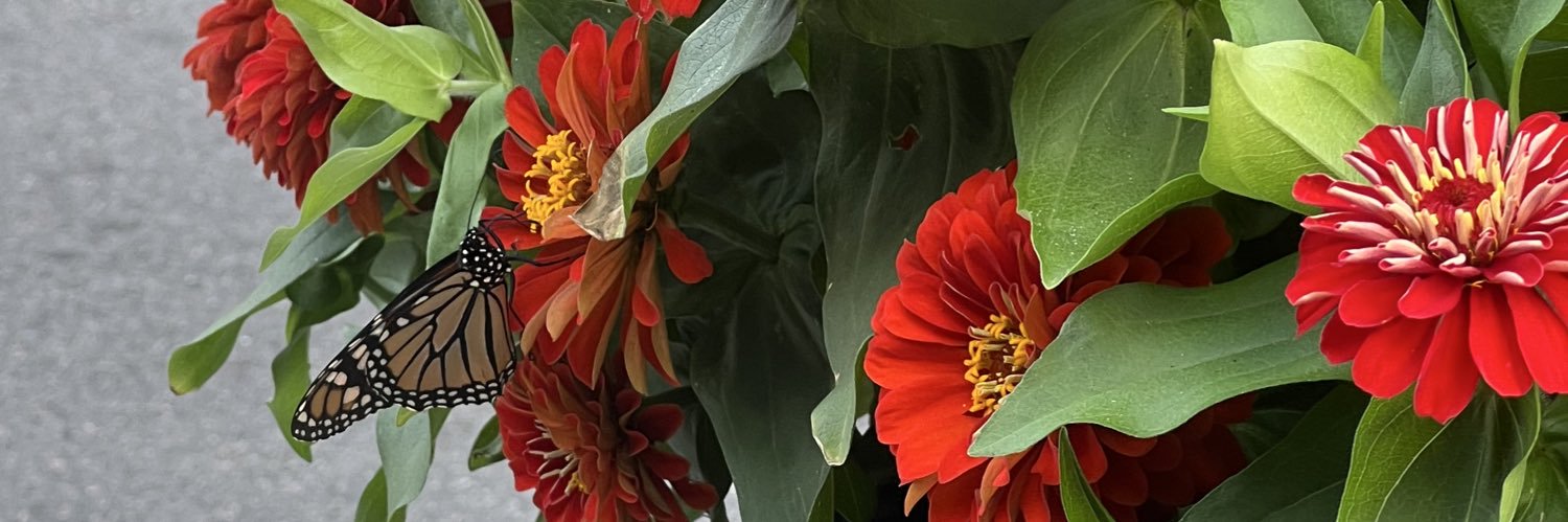 Smonaaaay's profile banner image
