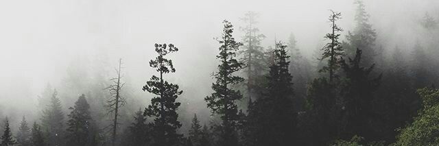 ouzelik11's profile banner image