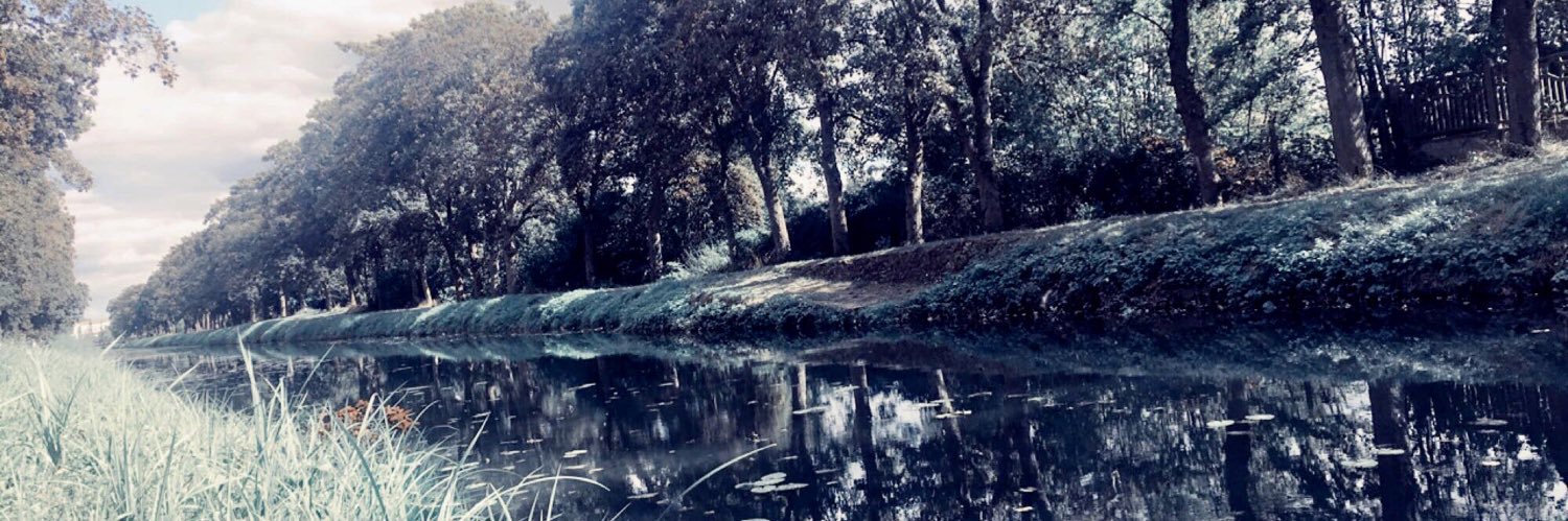 dydrewan's profile banner image