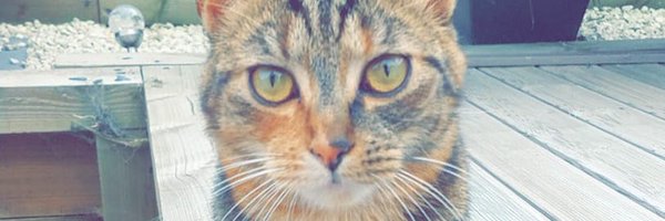 JamesHighton Profile Banner