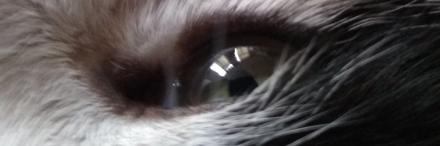 DRLencina's profile banner image