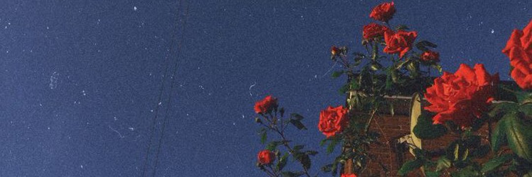 elifarkl's profile banner image