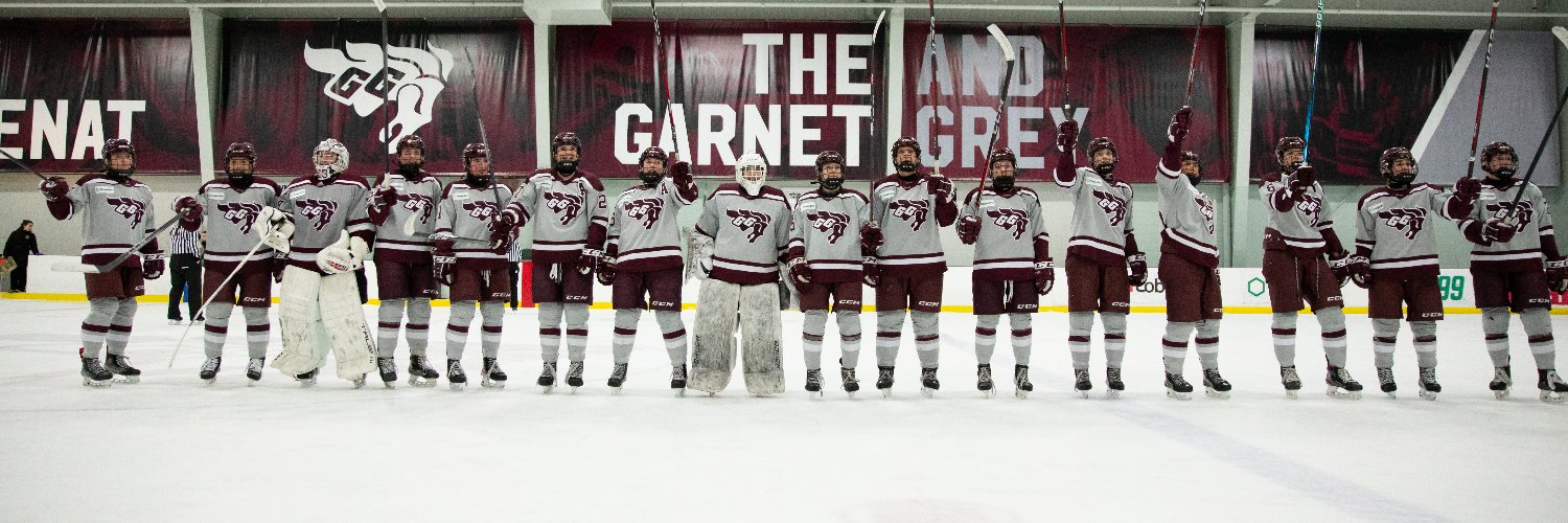 Gee-Gees Women’s Hockey | Hockey féminin banner