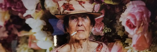 PhiSeidel Profile Banner