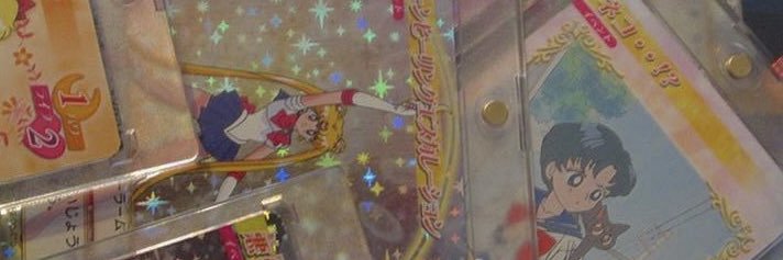 dimsumdyke's profile banner image