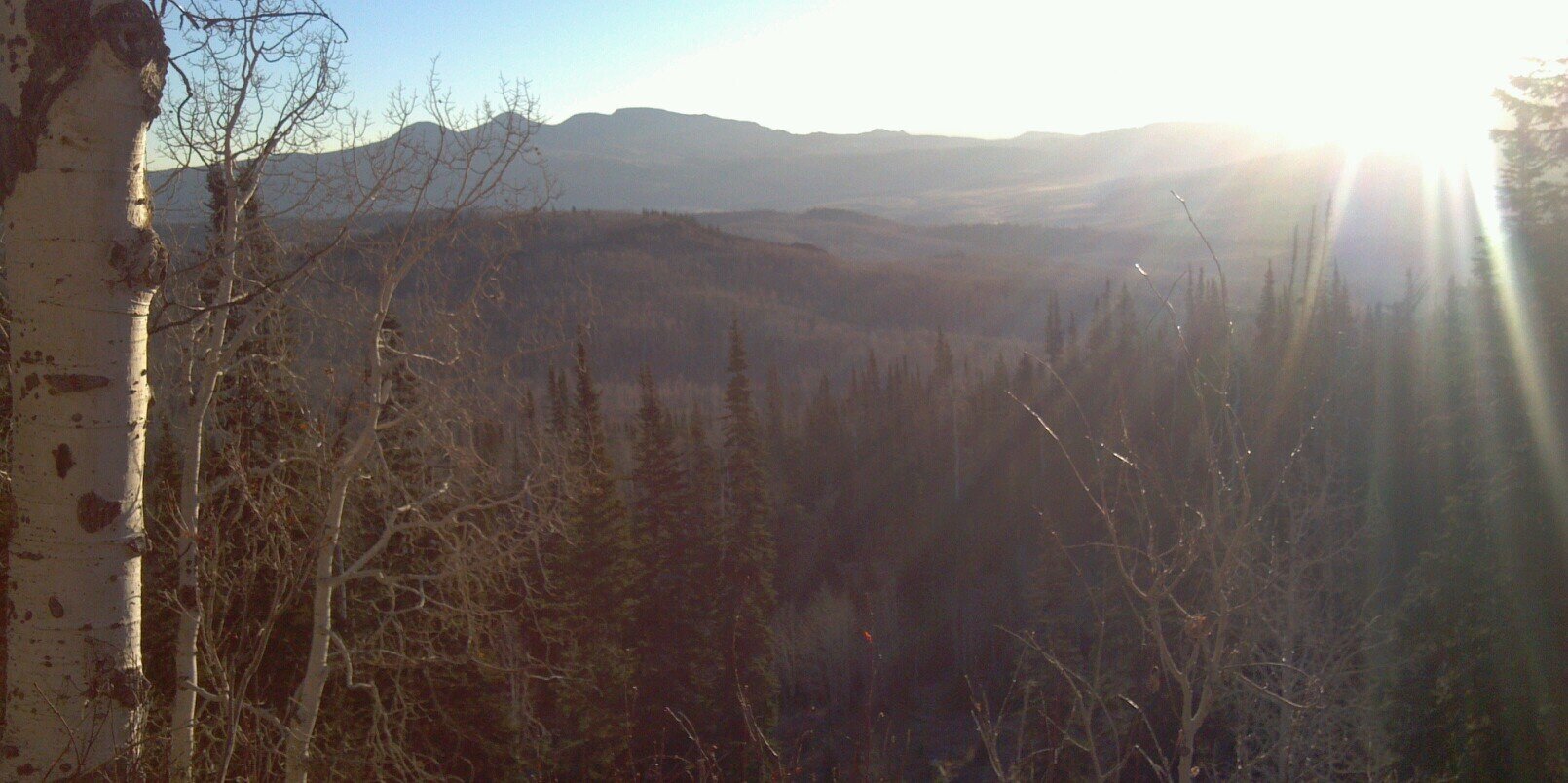 JebWaite's profile banner image