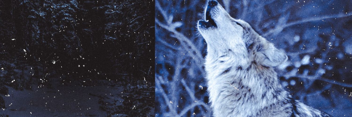 BombshellCharm's profile banner image