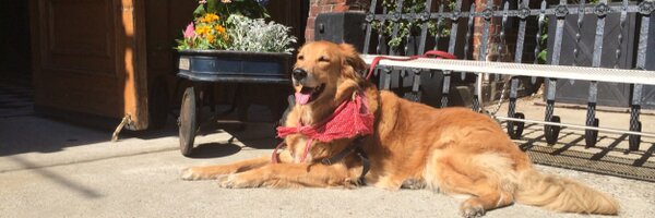 beast_party Profile Banner