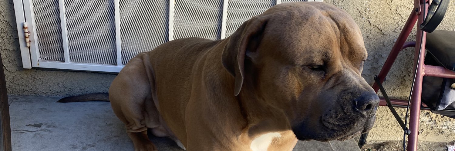 itsdrewjitsu's profile banner image