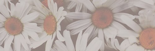 itscece_jones's profile banner image