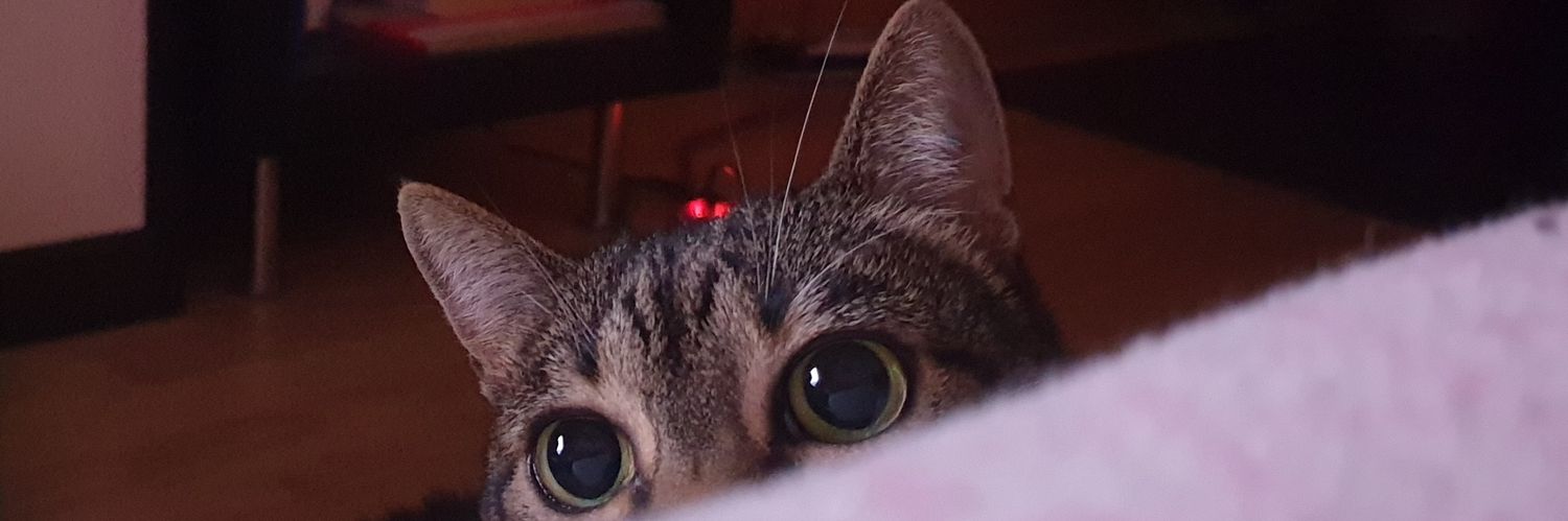 mayteguequi's profile banner image