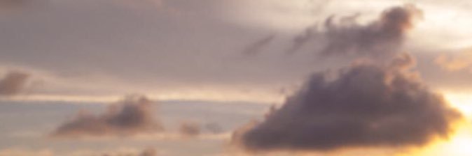 OwI Projector ✨ banner