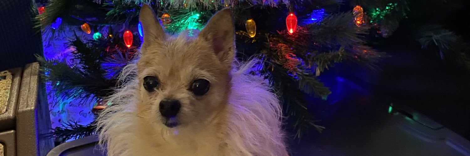 Cheetastorm's profile banner image