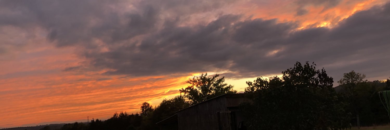 MadelynKilburn's profile banner image