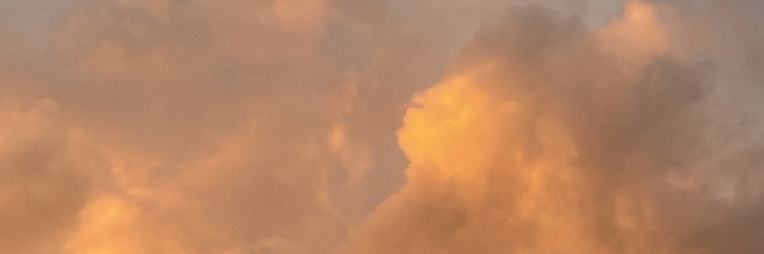 __cdsf's profile banner image