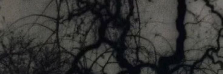 mazewraith's profile banner image