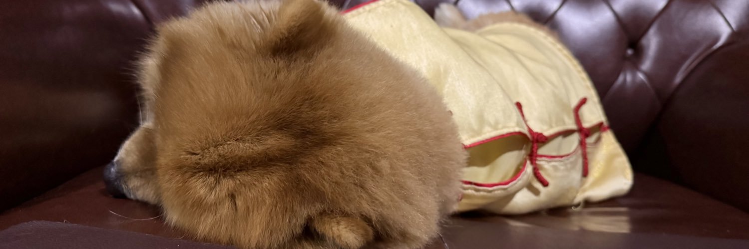 จินโยกอยู่ในฟลอร์ banner