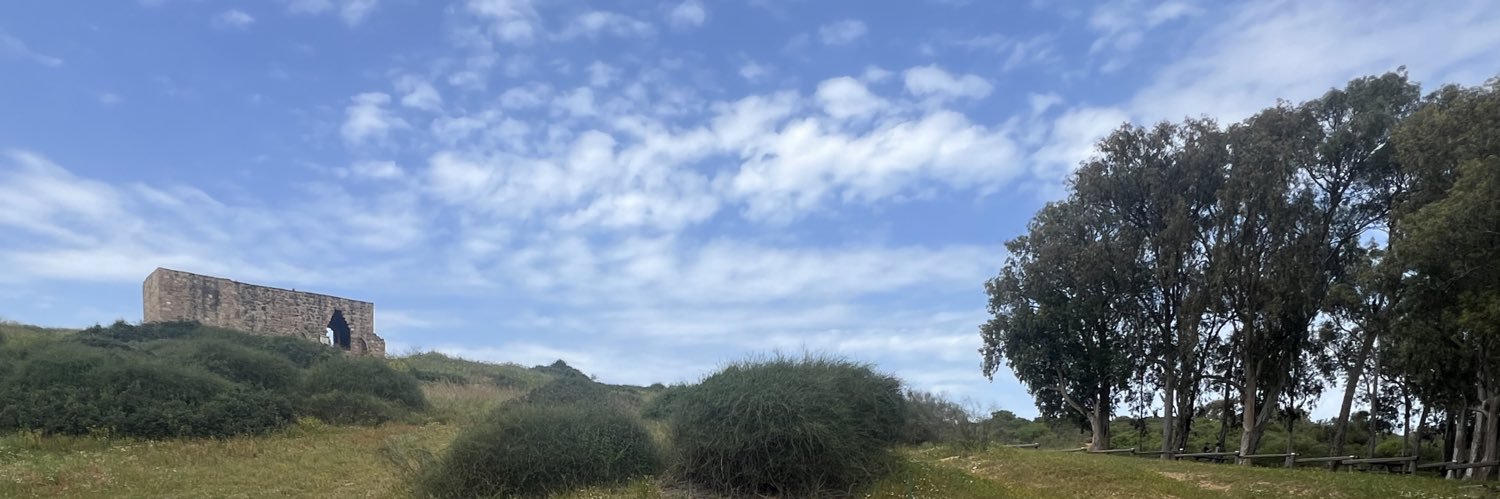 OrelSror's profile banner image