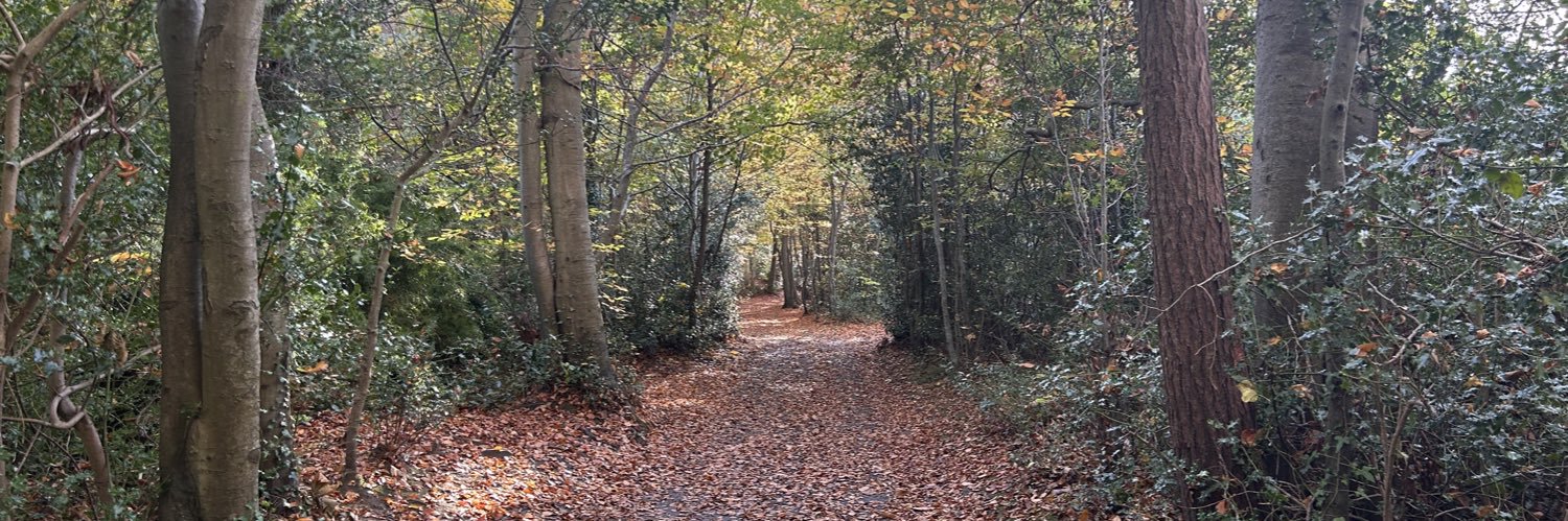 Fabio Cerullo banner