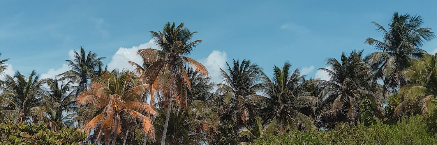 𝗝𝗲𝗻𝗻 ✧˚. banner