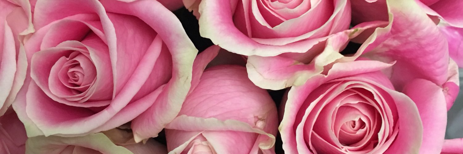 viviennehowell's profile banner image